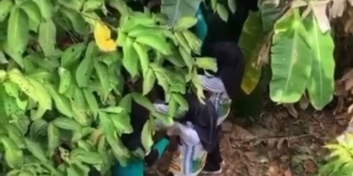 Ternyata ‘Senior Pukul Junior’ Adalah Siswa MAN 2 Palembang
