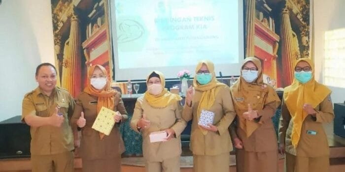 Kembangkan Program KIA Berbasis Aplikasi, Dinkes Tulungagung: Tekan Angka Kematian Ibu dan Anak
