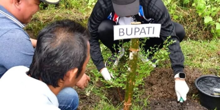 Jaga Kelestarian Lingkungan, Pemkab Sinjai Tanam Pohon 