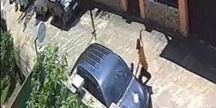 Viral, Aksi Pecah Kaca Gondol Tas Jemaah Masjid