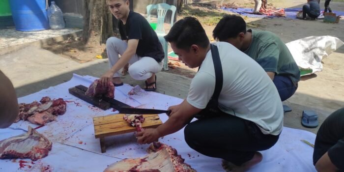 Rayakan Idul Adha 1444H, HMI Cabang Palembang Potong Kurban