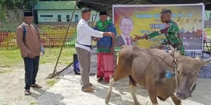 Danrem 182/JO Serahkan Bantuan Sapi Kurban ke Masyarakat