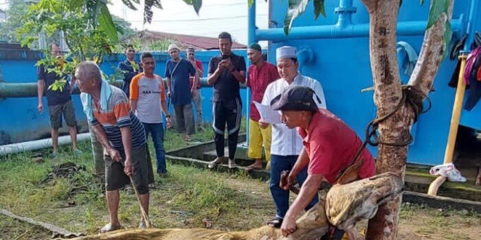 Hari Raya Idul Adha 1444 H, Pegawai PUDAM Tirta Bina Sembelih 3 Hewan Kurban.