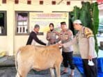 Qurban 1 Sapi Presisi Polsek Prabumulih Barat dan RKT, Arafiq Santi Sampaikan ini