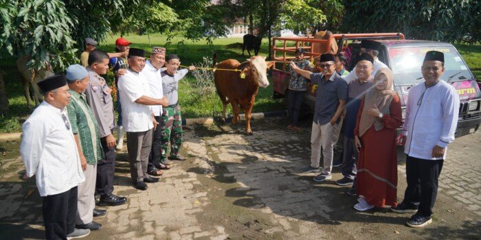 Idul Adha 1444 H, Bukit Asam Salurkan 145 Sapi dan 56 Kambing
