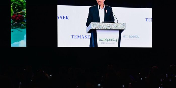 Presiden Jokowi Ajak Pengusaha Singapura Investasi di IKN