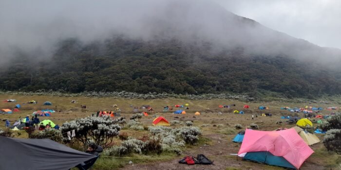 Diserbu Pendaki, Sistem Layanan Booking Online Gunung Gede Pangrango Lelet