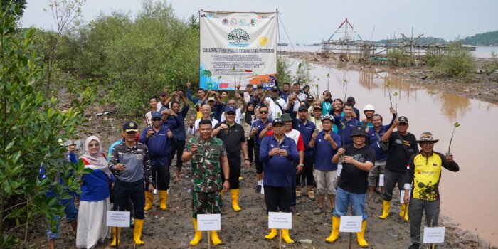 PTBA Tanam 50.000 Bibit Mangrove di Kawasan Ekowisata Cuku Nyi Nyi