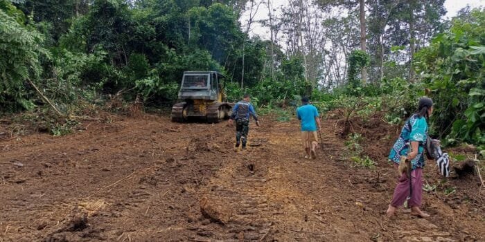 Merubah Hutan Berlumpur Menjadi Jalan Meningkatkan Perekonomian Masyarakat