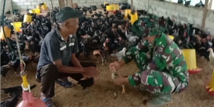 Prajurit Kodim 0429/Lampung Timur Adakan Komsos Dengan Pengusaha Ayam Kampung