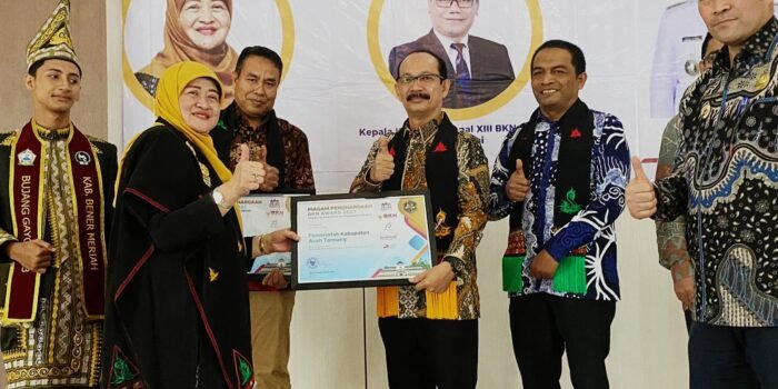 Aceh Tamiang Terima BKN Awards Tahun 2023