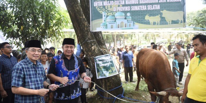 Berbagi di Hari Raya Idul Adha 1444 H, Gubernur Herman Deru Serahkan Sapi Qurban ke Sejumlah Masjid