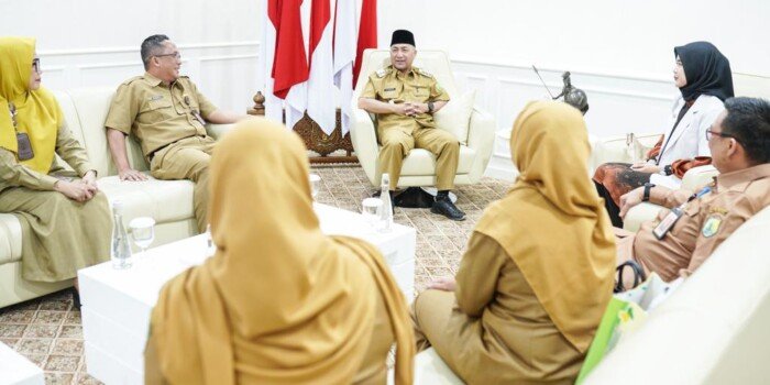 Empat Nakesdan Audiensi Bersama Pj Bupati Muba