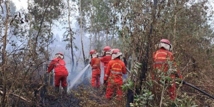 Karhutla Kian Mengkhawatirkan, Hotspot Agustus Tertinggi