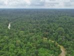 Bantu Sejahterakan Masyarakat di Kawasan Hutan Sumsel