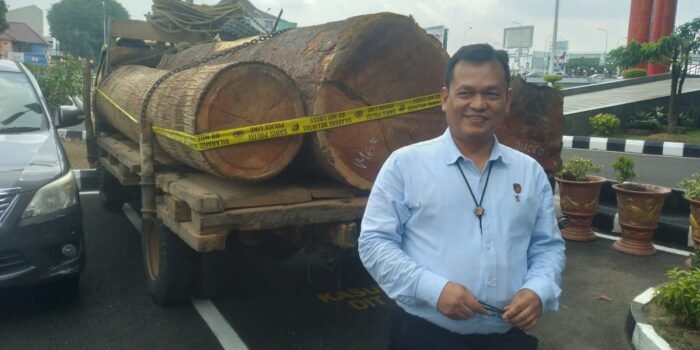 3 Pelaku Illegal Logging di Sumsel Ditangkap, Polisi Sita 700 Batang Kayu