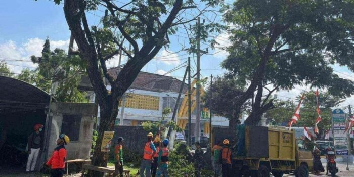 DLH Tulungagung Identifikasi dan Inventarisasi Ratusan Pohon Rawan Tumbang di Wilayah Kecamatan Kauman