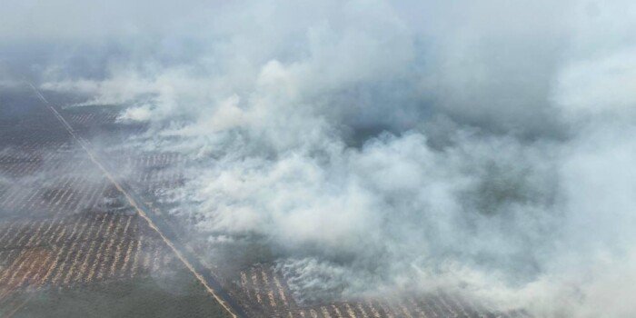 Pj Gubernur akan Geser Anggaran untuk Karhutla