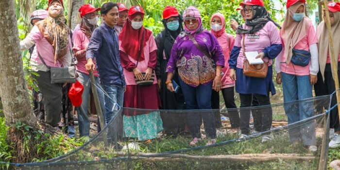 Srikandi Ganjar Sumatera Selatan Adakan Pelatihan Budi Daya Lele di Palembang