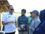 Pj Gubernur Sulbar Dorong Balai Benih Jadi Pusat Inovasi Pertanian Sulbar
