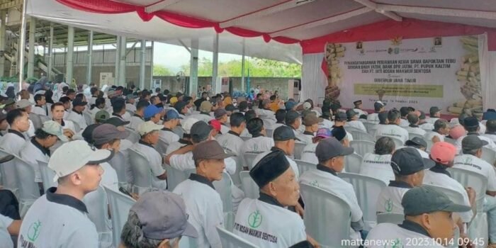 Gubernur Jatim Sambangi Gapoktan Tebu di Tulungagung