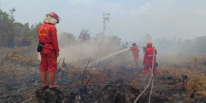 ISPU Kota Palembang dan OI Level Bahaya, Kabut Asap Kian Tebal