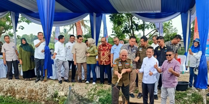 Perdana, Bank Sumsel Babel Bersama Pemerintah Ikut Budidaya Ikan Belida