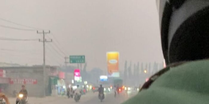 Kebakaran Lahan Basah: Mengungkap Ancaman di Balik Kabut Asap