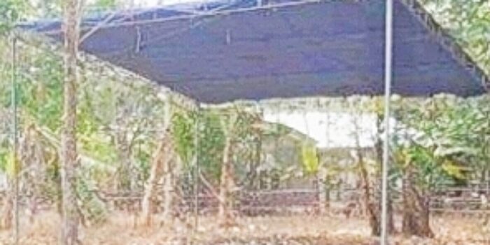 Rencana Pembongkaran Makam Bayi Meninggal Usai Disuntik Bidan Desa di Ogan Ilir Ditunda