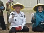 Bangun Sentra Bawang Merah di OKU