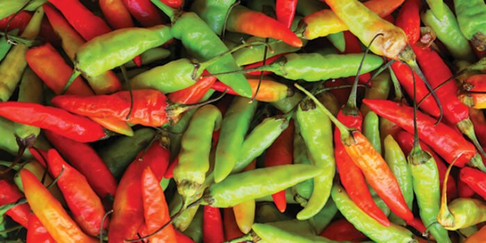 Harga Melejit, Petani Cabai di Lampung Barat Sumringah