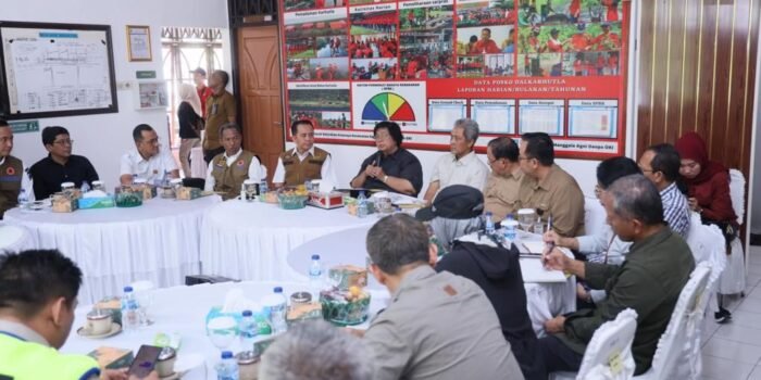 Karhutla Mereda, Menteri LHK Wanti-Wanti Lahan Gambut Sumsel