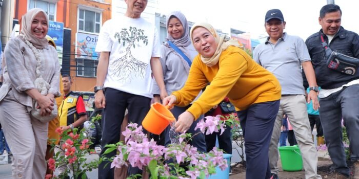 Ratu Dewa gagas “Palembang Warna- Warni”, Bougenville Percantik Median Jalan LRT