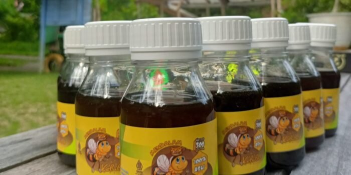Madu Kelulut Berkhasiat Tinggi, Budidaya Inovatif di TNBK DS PTN Wilayah III Padua Mendalam Kapuas Hulu