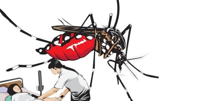 650 Kasus DBD di Palembang, Dua Meningal Dunia