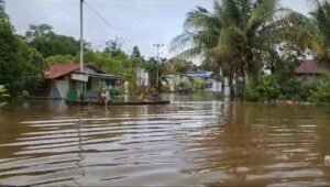 Banjir Melanda 14 Kecamatan Kapuas Hulu, BPBD Laporkan 4.467 Rumah Terkena Dampak