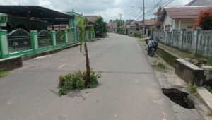 Pisang Tanggamus Tanda Bahaya, Ingatkan Pengguna Hati-hati Melintas Jalan Ini