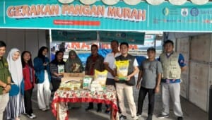 Distapang Sulbar bersama Bulog Gelar Pasar Murah di Pesta Rakyat HMI