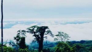 “Bukit Awan” Pancarkan Pesona Pariwisata Aceh Tamiang