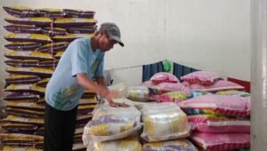 Jelang Ramadhan Stok Beras di Sumsel Aman