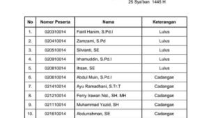 Ini Hasil Tes Wawancara Pansel Penjaringan Calon Panwaslih Aceh Tamiang