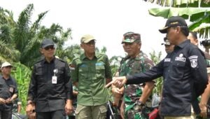 Tahun 2024 Optimalisasi Lahan Rawa Desa Sukapulih Ditargetkan Seluas 65 Ribu Hektar