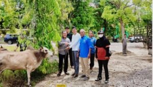 Berikan Bantuan Sapi untuk Wartawan Menyambut Ramadhan, Ini Kata Pj Bupati Aceh Tamiang