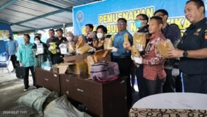 BNNP Sumsel Musnahkan 1991 Gram Sabu dan 20.476,27 gram Ganja