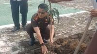 Roy Riady Kembali Lakukan Penghijauan Tanam Tiga Jenis Pohon Buah 