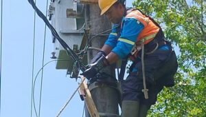 Tanggapi Laporan Masyarakat, PLN ULP Baturaja Sigap Lakukan Upaya Turunkan Gangguan Kelistrikan