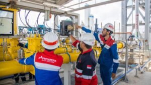 Dukung Hilirisasi Energi, PGN Suplai Gas Bumi 9.49 BBTUD ke PT Freeport Indonesia