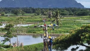 Akhirnya, 33 Dusun Terpencil Sulawesi Selatan Dilistriki PLN, Menyala 24 Jam