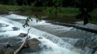 Nikmati Wisata Pemandian DAM Sungai Rengas di Kabupaten Aceh Tamiang