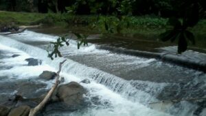 Nikmati Wisata Pemandian DAM Sungai Rengas di Kabupaten Aceh Tamiang